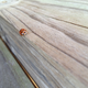 Image for article titled Wood Shooting Challenge